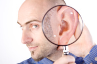 האסתטיקה של האוזן